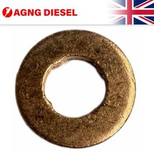 Bosch Fuel Injector Seal F 00V